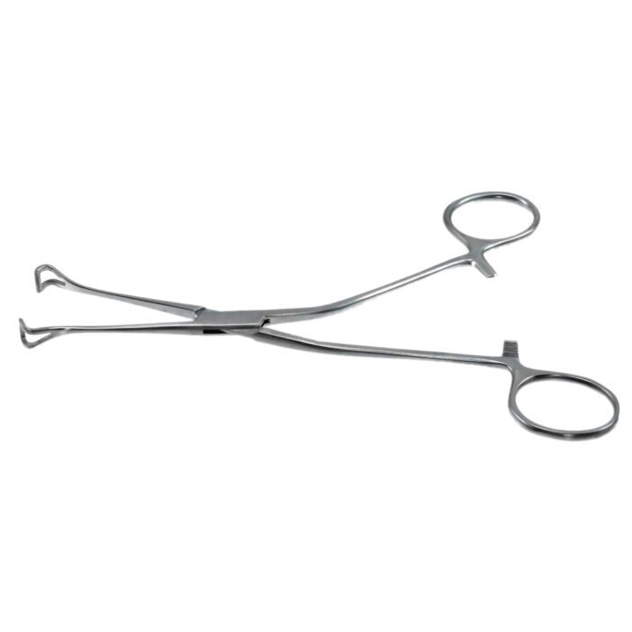 Allis Babcock Tissue Forceps Angled