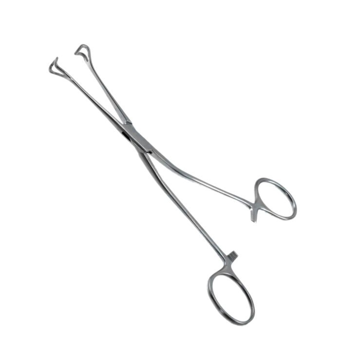 Allis Babcock Tissue Forceps Angled - Image 2