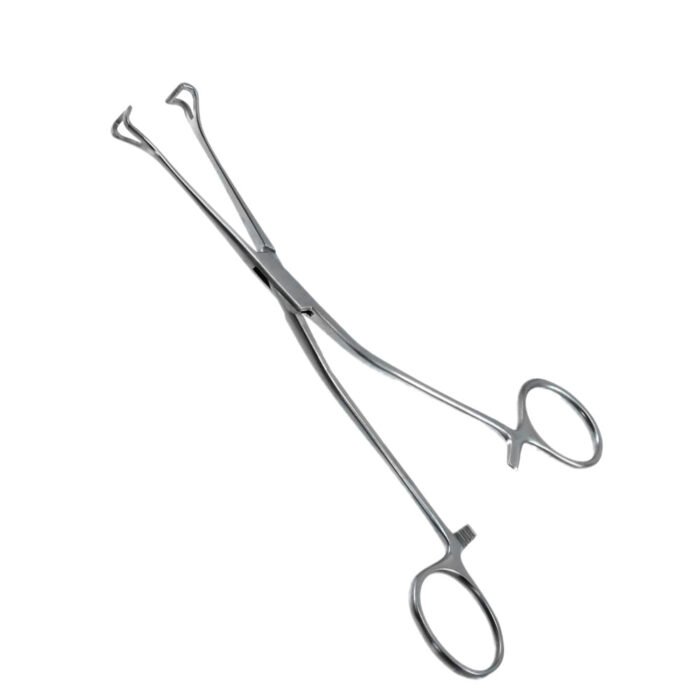 Allis Babcock Tissue Forceps Angled - Image 3