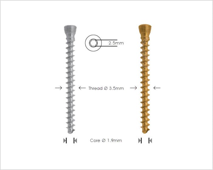 Cancellous Safety Lock Screw Ã˜3.5mm Self Tapping