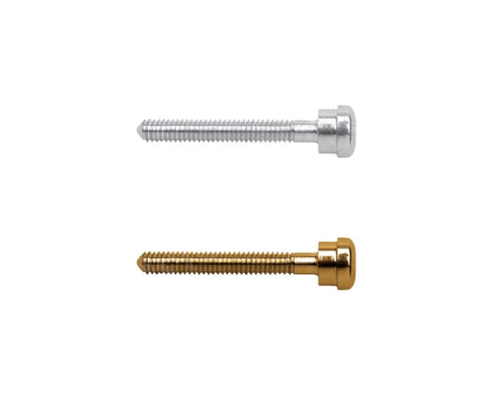 Compression Screw for Use with Dynamic Hip Compression Plates