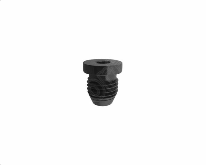 Pre Loaded Cannulated Set Screw