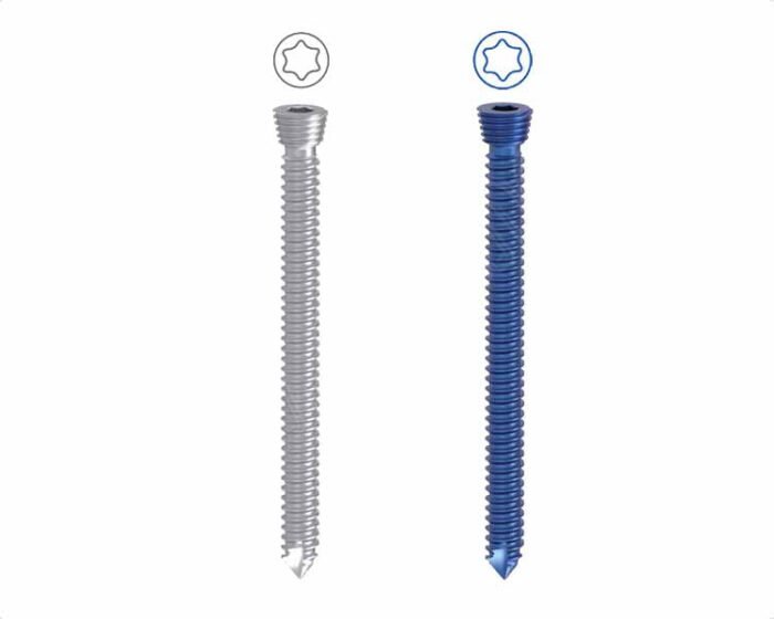 Safety Lock Screw Ã˜ 2.4mm Star Like Self Tapping
