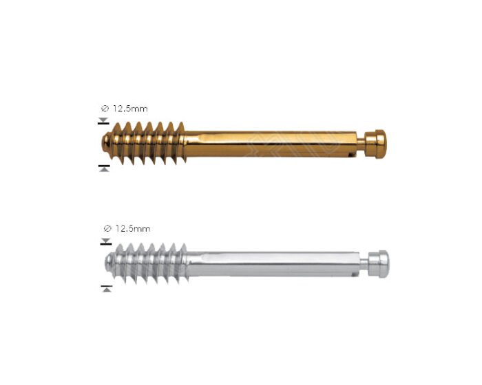 Standard Lag Screw Ã˜12.5mm (with Compression Screw)