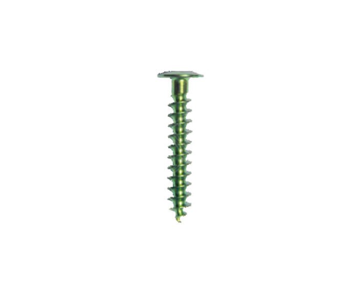 Tibial Post Fixation Screw 6.5mm Titanium