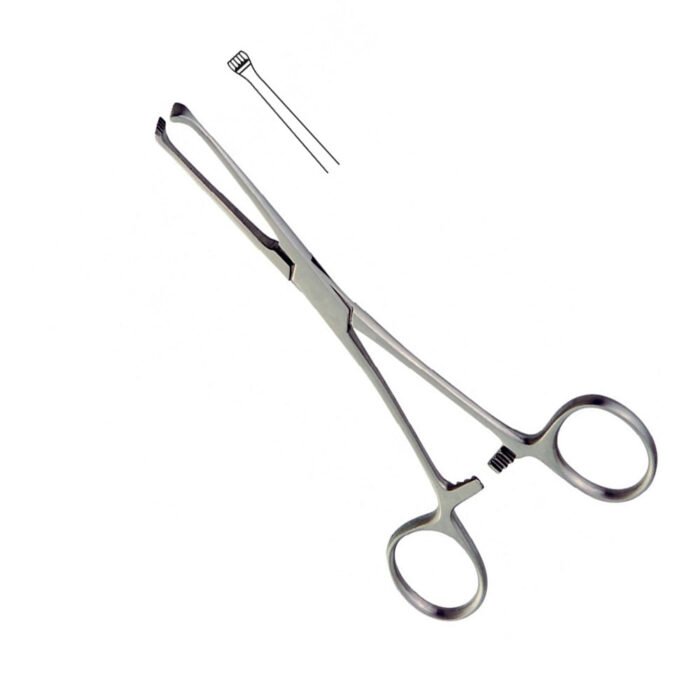 Allis Forceps - Image 2