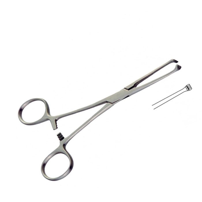 Allis Forceps - Image 3