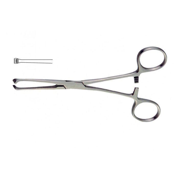 Allis Forceps