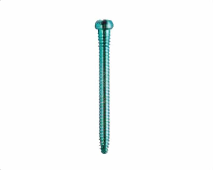 Astute Hip Fracture Nail Locking Screws Ã˜4.5mm