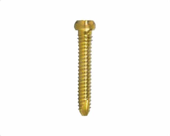 Astute Hip Fracture Nail Locking Screws Ã˜5.0mm