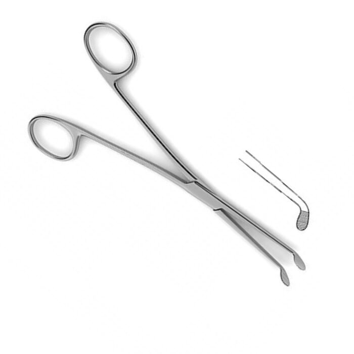 Bengola Forceps Curved - Image 3