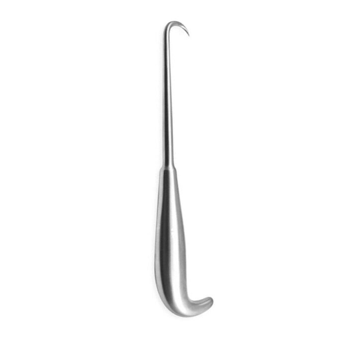 Bone Hook Curved - Image 3