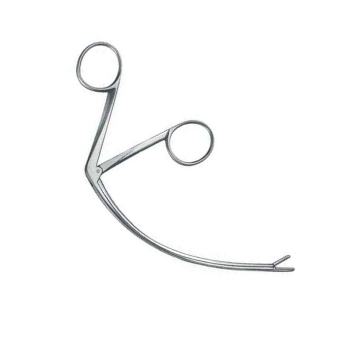 Carroll Tendon Retriever - Image 2