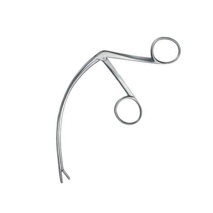 Carroll Tendon Retriever - Image 3