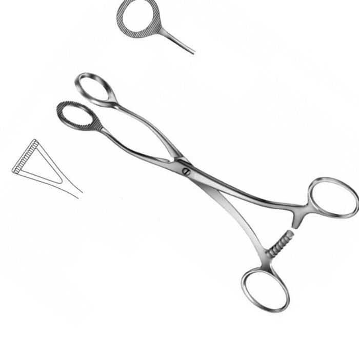 Collins Tissue Seizing Forceps 15cm - Image 2