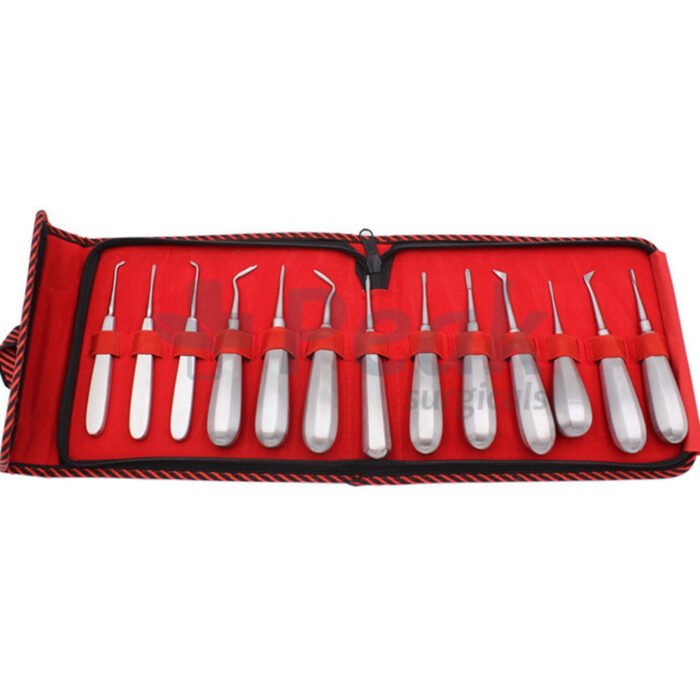 Dental Tooth Elevator Set