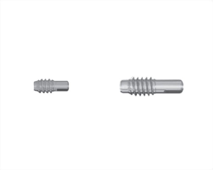 End Cap for Elastic Nails