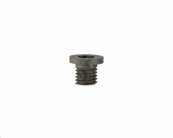 End Cap for Gamma Nails Anti-rotation