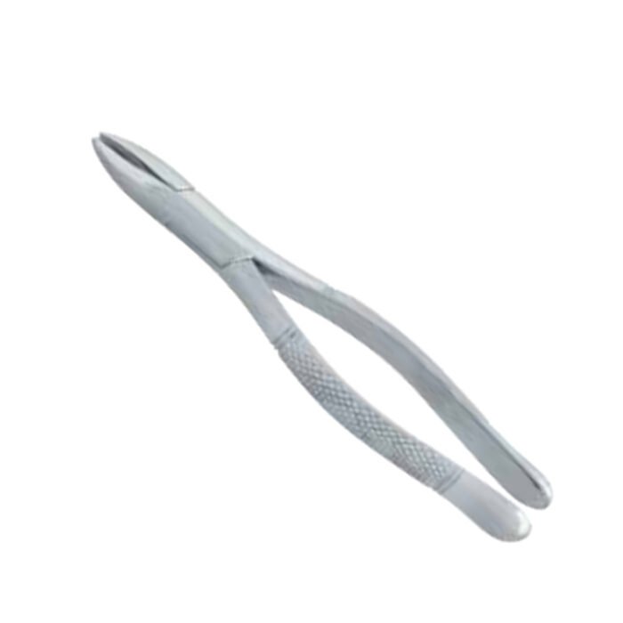 Premolar Forceps - Image 2