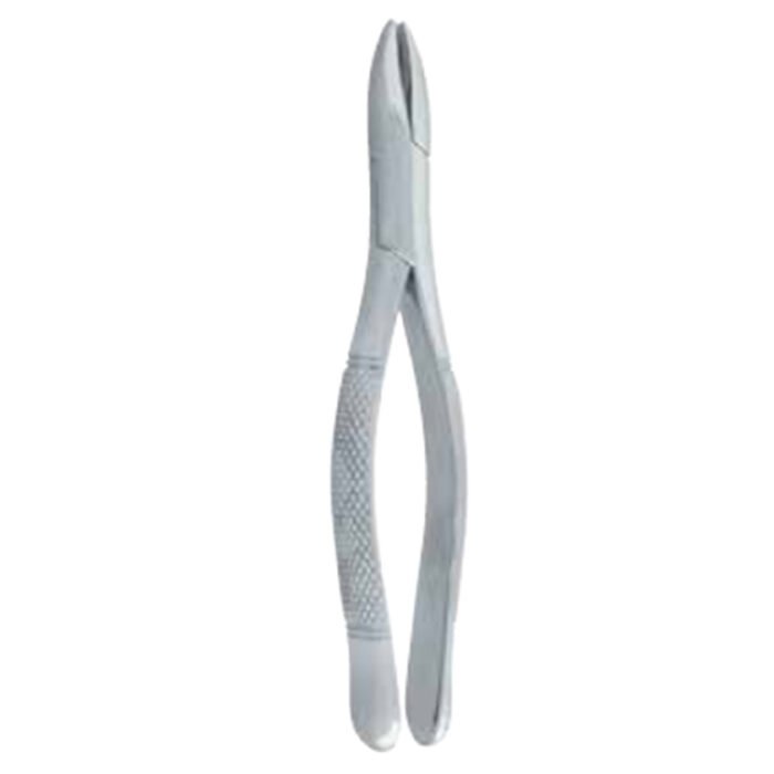 Premolar Forceps - Image 3