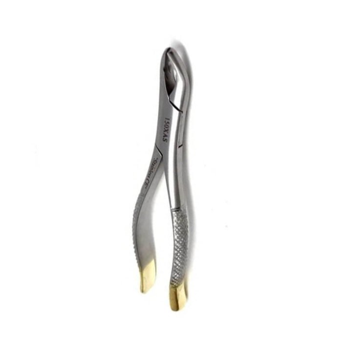 Gold Handle Clinic Extracting Forceps - Image 2