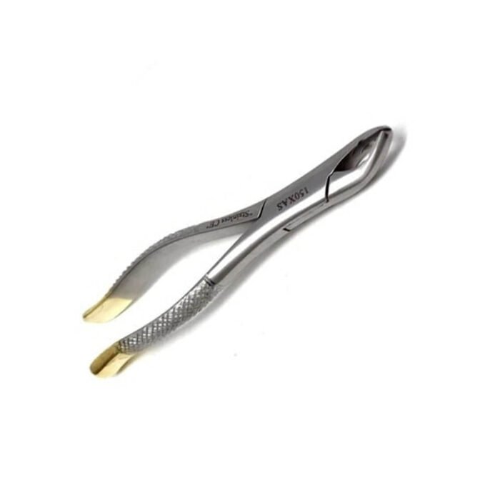 Gold Handle Clinic Extracting Forceps - Image 3