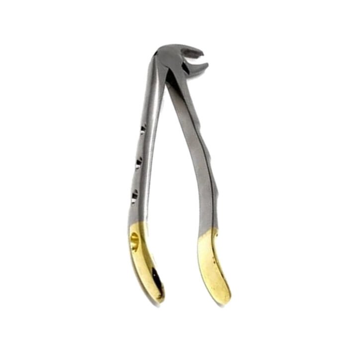 Gold Handle Molar Forceps - Image 2