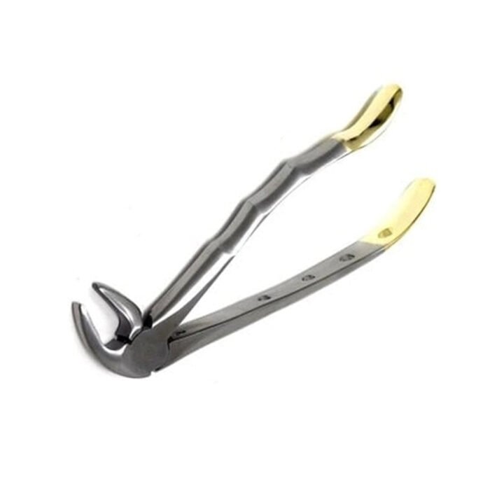 Gold Handle Extracting Forceps - Image 2