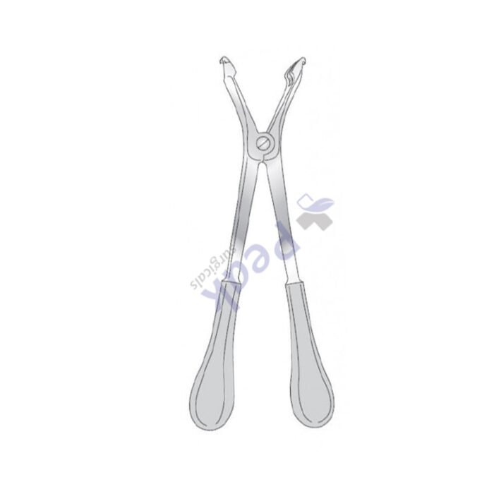 Haglund Plaster Spreader - Image 3