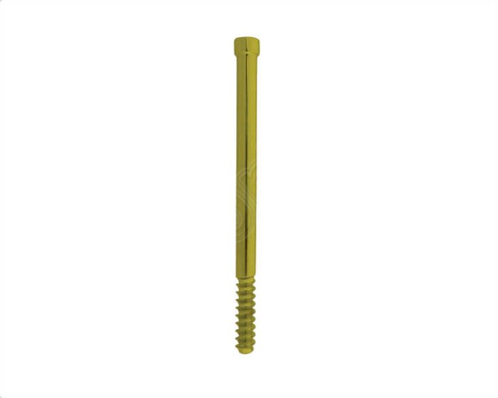 Hip Screws Ã˜6.35mm for Recon Locking