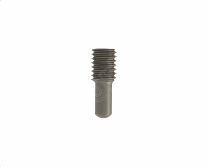 Inner Screw For Gamma Nails Anti-Rotation
