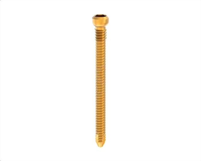 Nexgen Locking Screw