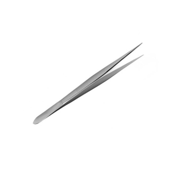 Plain Splinter Forceps - Image 3