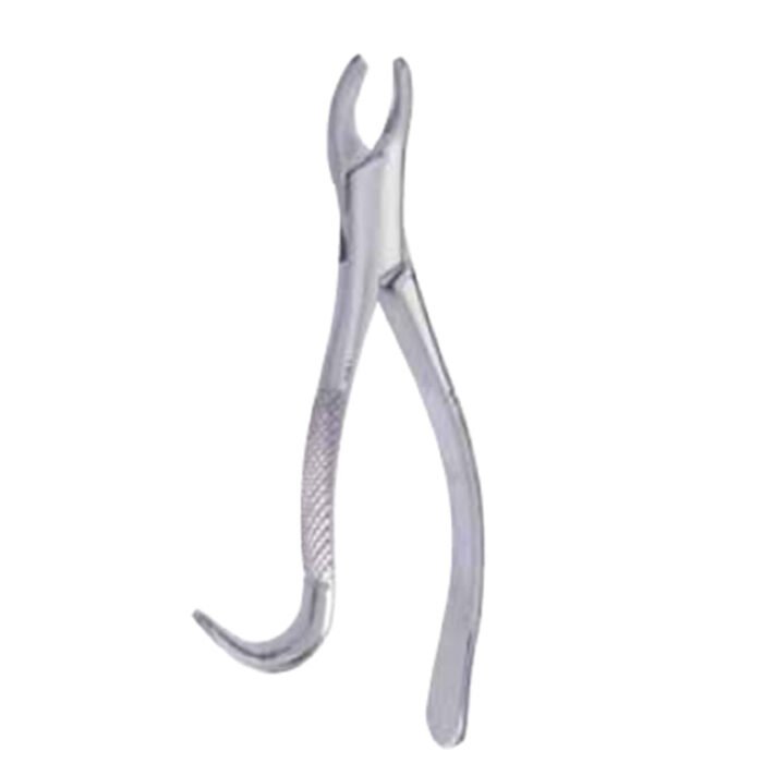 Stainless Steel Extracting Forceps - Image 3